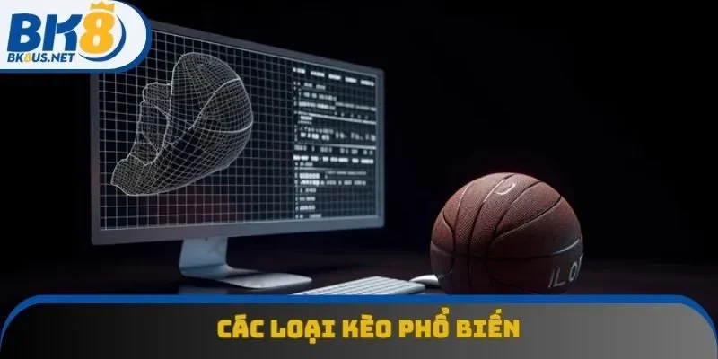 Các tỷ lệ kèo phổ biến, thịnh hành nhất trong cá độ b-ball