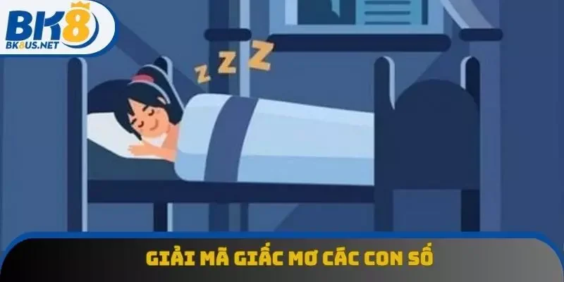 Điểm qua các con số may mắn khi giải mã